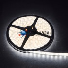 Led strip op rol 5meter 6000K 12V of 24V 